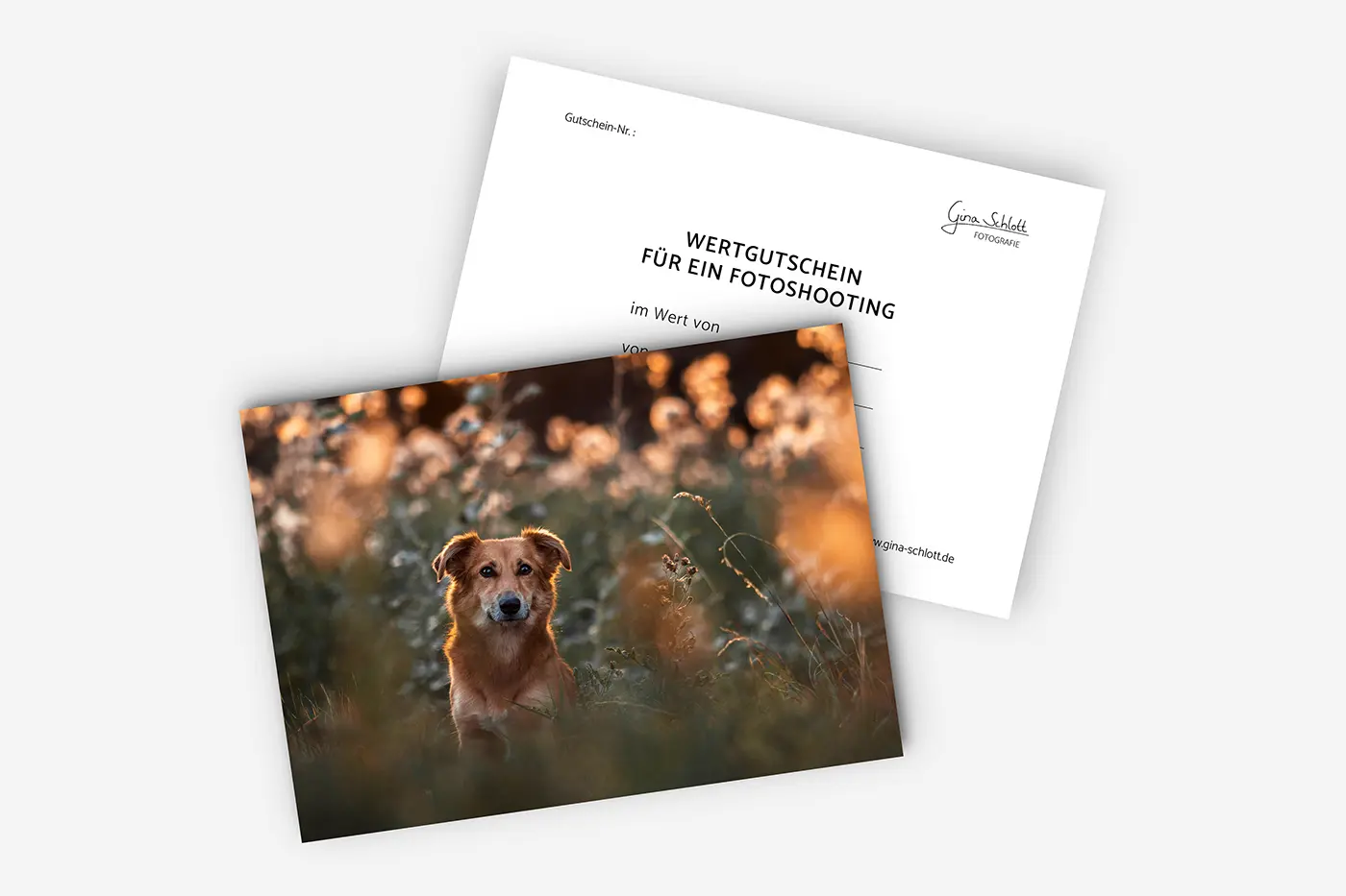 Gutschein für ein Tierfotoshooting mit Hundemotiv