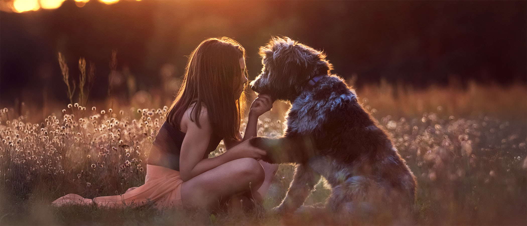 Innige Hund-Mensch-Beziehung